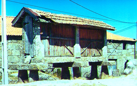 canastro do P�lpado