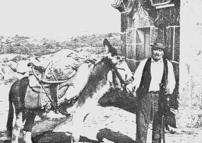 O Sr. Alexandre Jorge e o seu burrito, �ltimo almocreve da regi�o