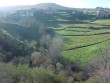 Campos 2