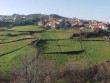 Campos