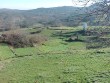 Moita